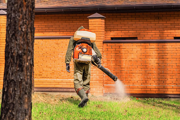 Bed Bug Clearance Verification and Documentation in Woodbridge